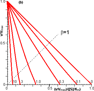 Eadie-Hofstee plots illustrating the effect of external diffusional resistance on the kinetics of an immobilised enzyme on essentially reversible reactions