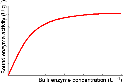Bound enzyme activity plateauing