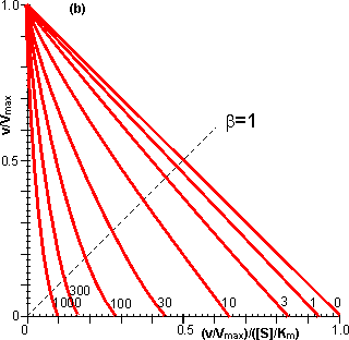 Eadie-Hofstee plots for internally diffusionally controlled reversible reaction