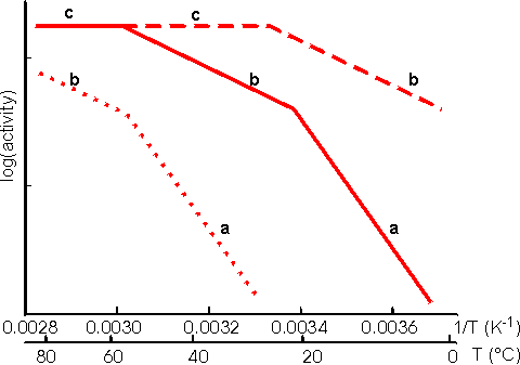 Arrhenius plots (log rate vs 1/T): internally diffusional control has half the gradient of not-controlled; externally diffusional control has zero gradient