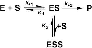 Enzyme + Substrate =(k+1 forwards, k-1 backwards)= (Enzyme-substrate complex) --(k+2)--> Enzyme + Product:Enzyme-substrate  + Substrate =KS= (Enzyme-substrate-substrate complex) 