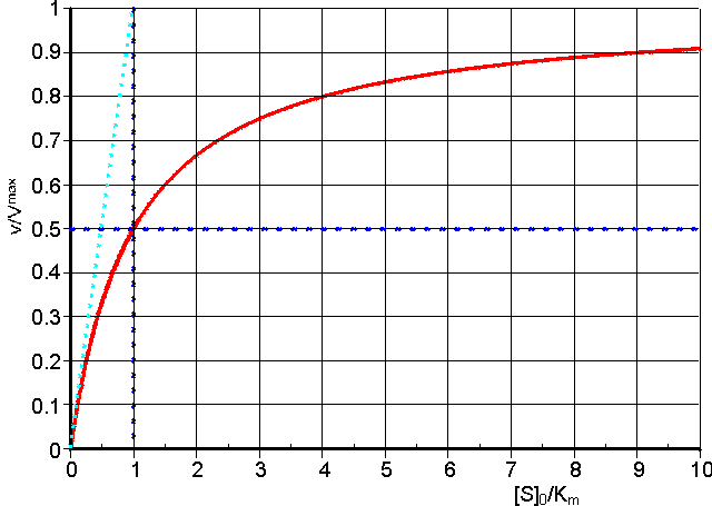 A normalised plot of the initial rate (v0) of an enzyme catalysed reaction against initial substrate concentration ([S]0)