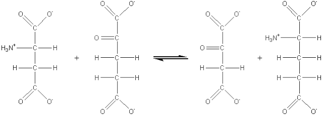 L-aspartate + 2-oxoglutarate = oxaloacetate + L-glutamate