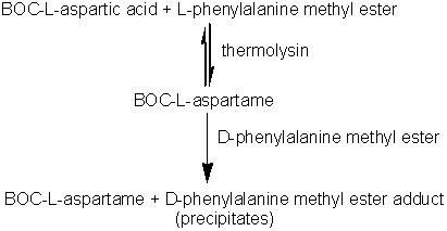 BOC-L-aspartic acid + L-phenylalanine methyl ester ==thermolysin== BOC-L-aspartame; BOC-L-aspartame + D-phenylalanine methyl ester --> BOC-L-aspartame : D-phenylalanine methyl ester adduct precipitates