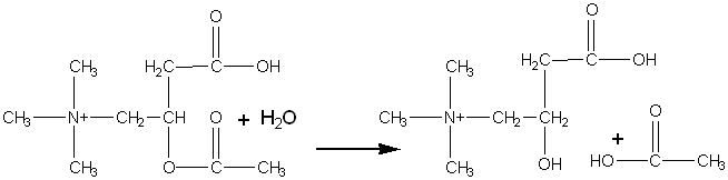 acetyl-D-carnitine + water  --> D-Carnitine + acetic acid