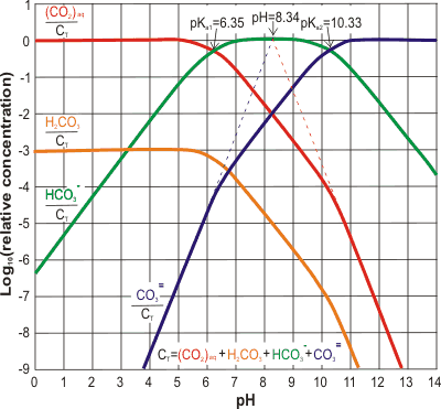 Carbon Dioxide in Water Solubility & Reaction