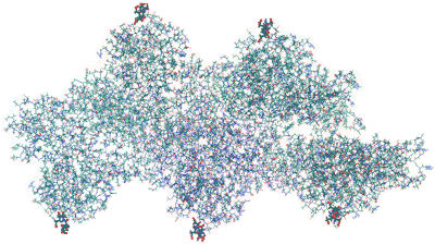 Part of the F-actin structure; 5 actin units (structure from Holmes KC and Eschenburg S (unpubl.))