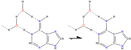 Tautomerism in adenine facilitated by water hydrogen bonding