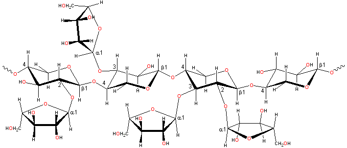 Representative arabinoxylan structure