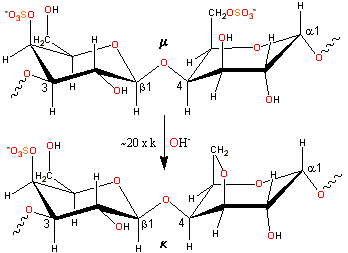 Alkaline conversion of mu- to kappa-carrageenan