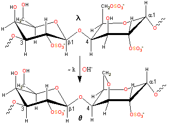Slow alkaline conversion of lambda- to theta-carrageenan