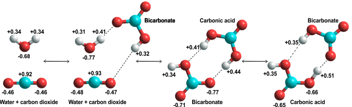 Carbon Dioxide in Water Solubility & Reaction