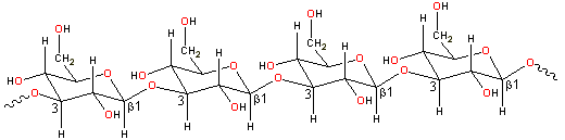 1-3 beta-D glucan