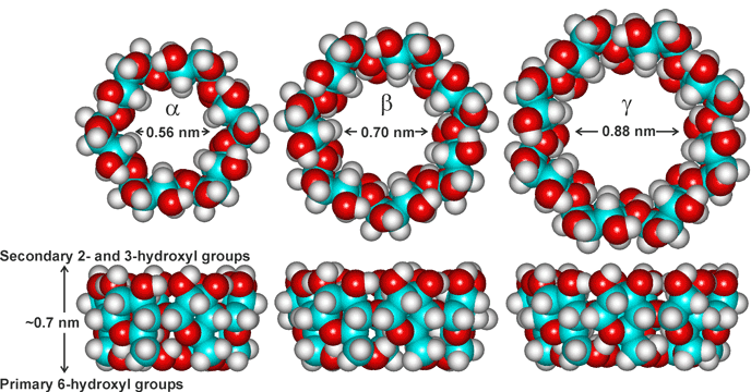 alpha-, beta and gamma-cyclodextrin