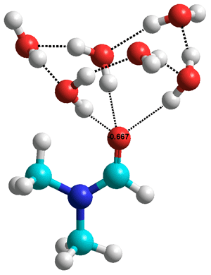 Dimethyl formamide.(H2O)6

The nitrogen atom does not hydrogen bond