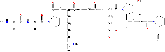 gelatin structure