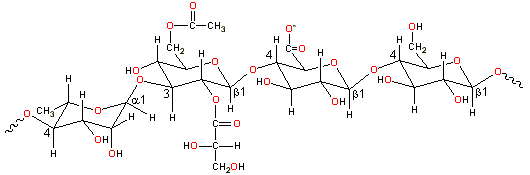 -4)-L-Rhap-(alpha-1-3)-D-Glcp-(beta-1-4)-D-GlcpA-(beta-1-4)-D-Glcp-(beta-1-