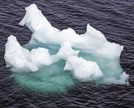 Glacier ice floating