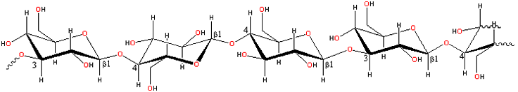 Representative structure for beta-glucans