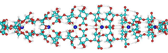 Calcium poly-alpha-L-guluronate junction zone