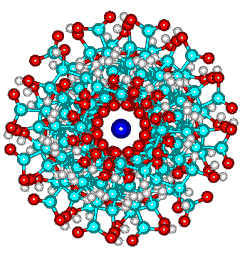 Calcium poly-alpha-L-guluronate junction zone