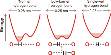 Energy profiles for different forms of the hydrogen bond