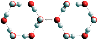 concerted quantum tunneling of protons within hexamers