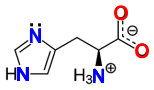 histidine