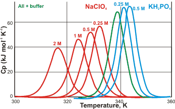 Effect of NaClO4 and KH2PO4 on the excess heat capacities of RNase
A in 50 mM citrate buffer at pH 5.0; from [2723]