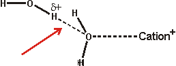 Unfavorable hydrogen bonding around ions; donation to water round cations