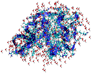 Human lysozyme, 1GF8. The water molecules are not correctly directed