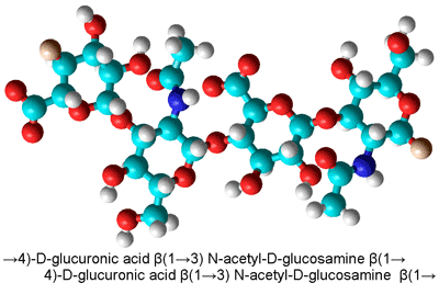 Hyaluronic acid