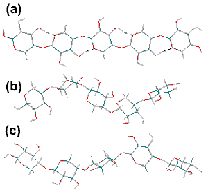 Xylan backbone with Phi (H1C1OC4), Psi (C1OC4H4) angles of (a) 30°,-30°, similar to cellulose but unstable; (b)  57°,-141° forming a 3-fold right-handed helix; (c) 60°, 27° forming a 3-fold left-handed helix