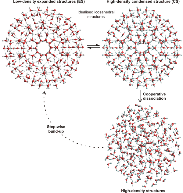 Cluster equilibrium, showing how the expanded low density icosahedral cluster (H2O)280 undergoes a partial collapse to give a more condensed structure