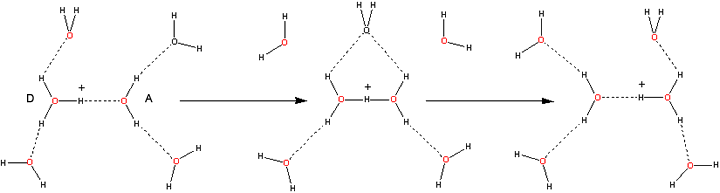 Proton transfer, involving the C2 dihydronium ion
