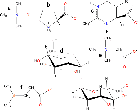 a Trimethylamine N-oxide;b Proline;c Ectoine; R varying;d alpha,alpha-Trehalose;e Glycine betaine;f 3-Dimethylsulfoniopropionate