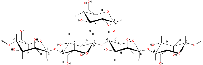 Locust bean gum structure