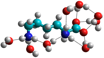 Lysine plus eight strongly-bound water molecules; Restricted Hartree-Fock wave function (RHF) utilizing the 6-31G** basis set



