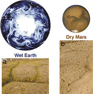 Mars surface, Phoenix Mars Lander. NASA/JPL/University of Arizona/Texas A&M, 2008