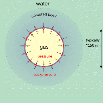 typical bulk-phase nanobubble  (mouse over)