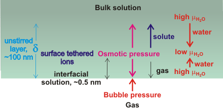 Osmotic pressure generated at nanobubble surface is responsible for nanobubble stability