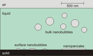 types of nanobubble, not to exact scale and redrawn from [2108]