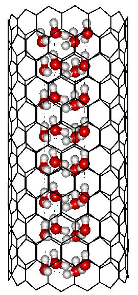Square ice formed inside a (14; 0) carbon nanotube