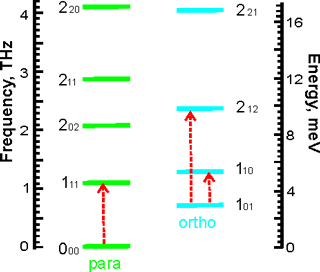 The lowest rotational energy levels of the trapped water molecules