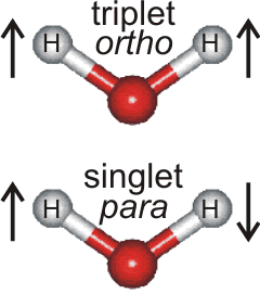 the ortho and para magnetic states of water, showing proton spin