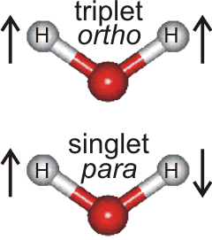 ortho-Water and para-Water