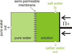 Outline reverse osmosis setup