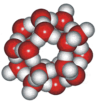 Dodecahedral water cluster