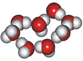 8-membered cyclic water cluster