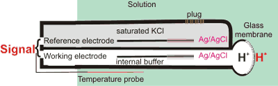 typical pH electrode